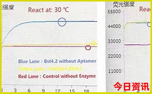 桃江有什么好玩的景点
