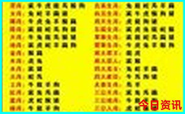 舟山普陀山旅游攻略一日游